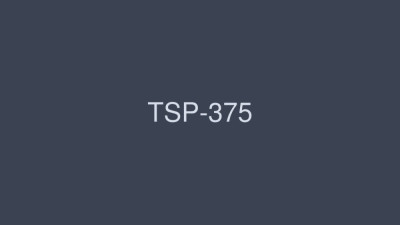 TSP-375 Keihin Industrial Urban Area Obscenity Video by Boys