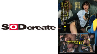 SDAM-8602  A female high school student who comes to Tokyo from the countryside on a night bus to take the university entrance exam cannot make a sound even if she is molested