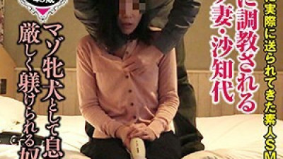 SACZ-041 Sachiyo 7