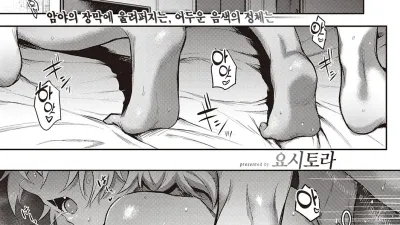 겉과 속 펫트라이앵글