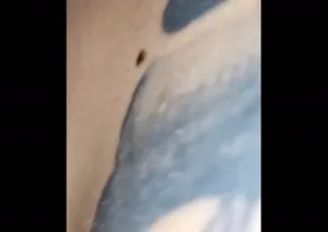 문신남 자매덮밥